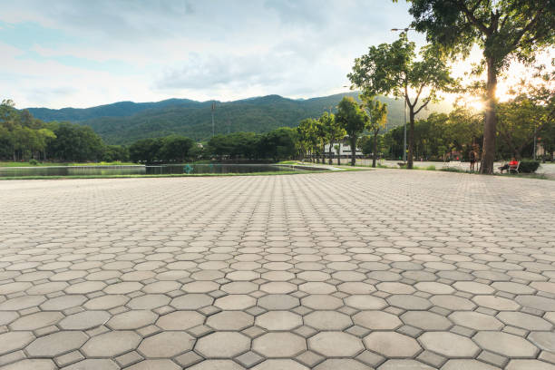 Best Custom Driveway Pavers  in Tysons, VA